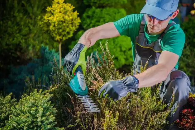 landscaping services Muskegon